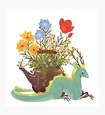 Jasmine Tea Dragon Photographic Print