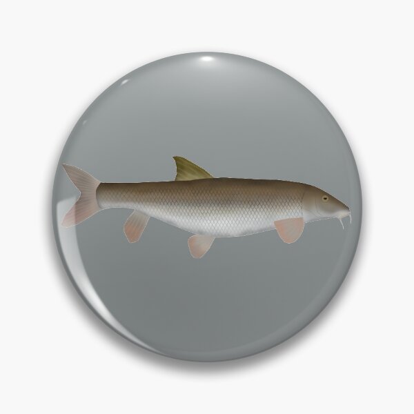 Item preview, Barbel designed and sold by fishfolkart.