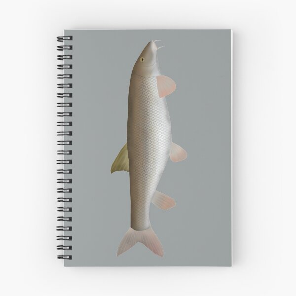 Item preview, Barbo designed and sold by fishfolkart.