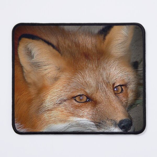 Item preview, Red Fox designed and sold by Johnny Furlotte.