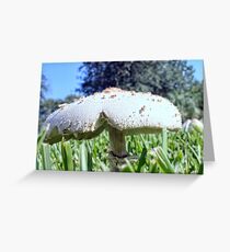 Mushroom In the Grass Greeting Card