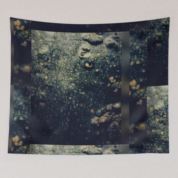 Item preview, Cucurbita pepo, 'Knuckle Head' designed and sold by Mediocrityshop.