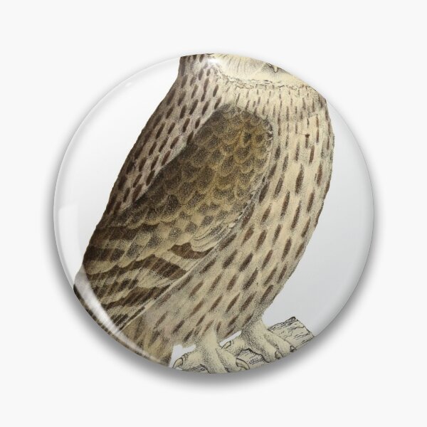 Item preview, Ural Owl designed and sold by birdo-art.
