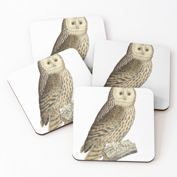 Item preview, Ural Owl designed and sold by birdo-art.