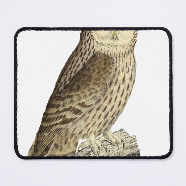 Item preview, Ural Owl designed and sold by birdo-art.