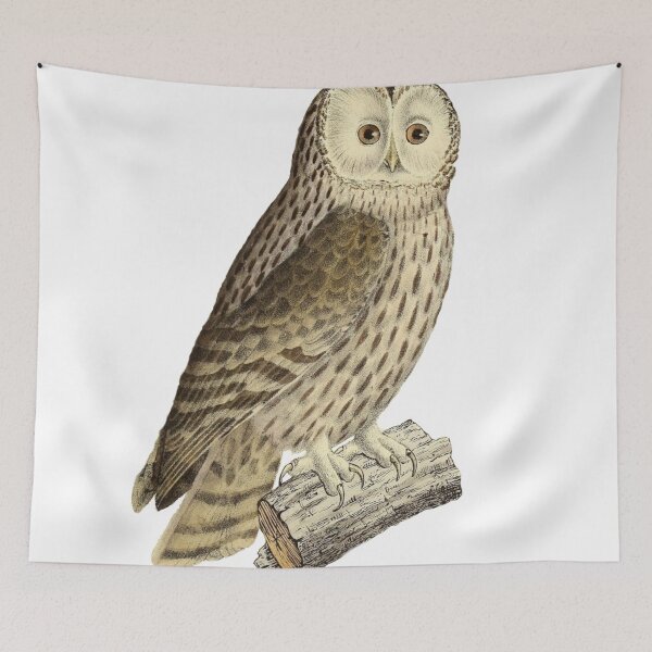 Item preview, Ural Owl designed and sold by birdo-art.