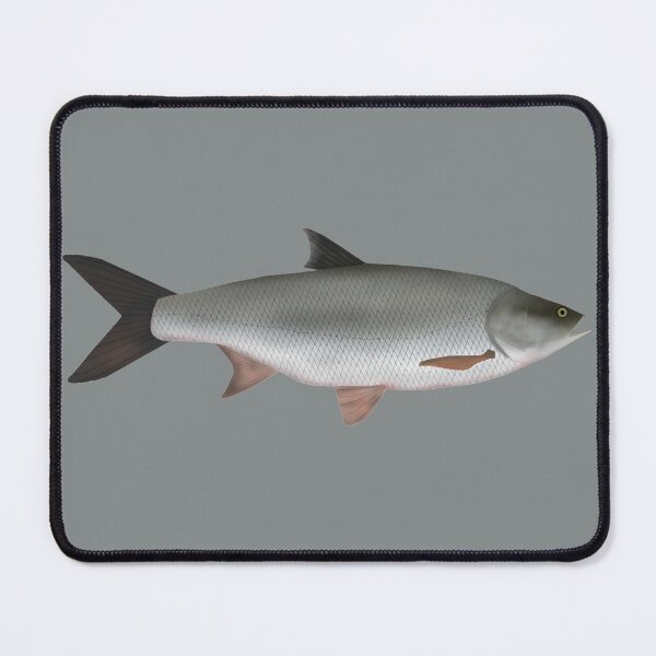 Item preview, Asp designed and sold by fishfolkart.