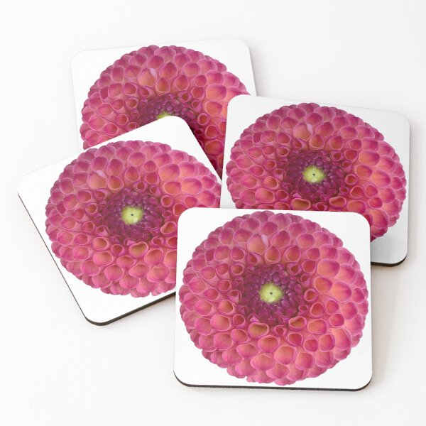 Item preview, Pink Dahlia Flower Still Life Floral Photography designed and sold by CottoVerdi.