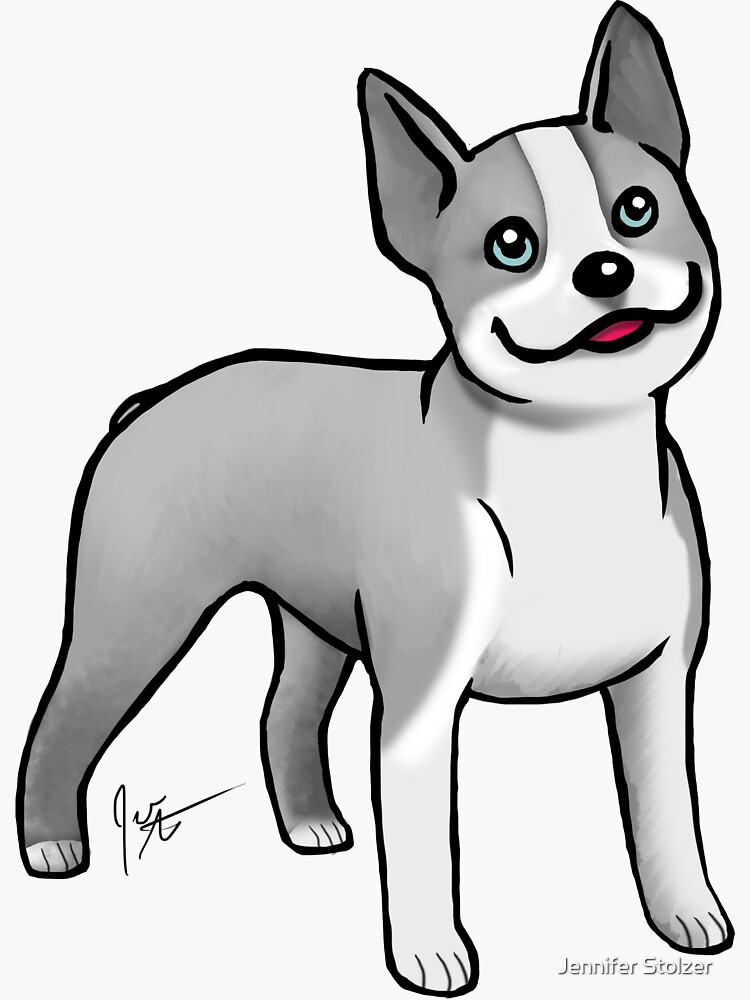 Boston Terrier - Blue by jameson9101322