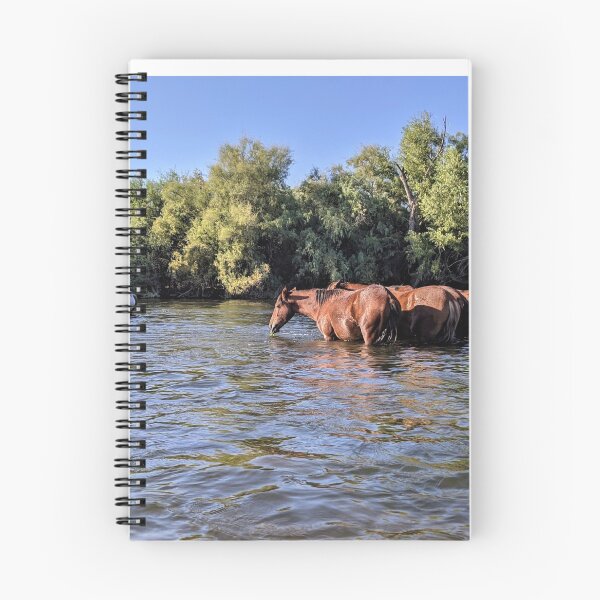 Item preview, Wild Horses of the Salt River IV designed and sold by Ryan Stephens.