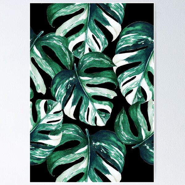 Vista previa del artículo con la obra «Monstera Albo Variegata - Monstera Variegata Leaves Pattern», diseñado y vendido por plan-t-b.