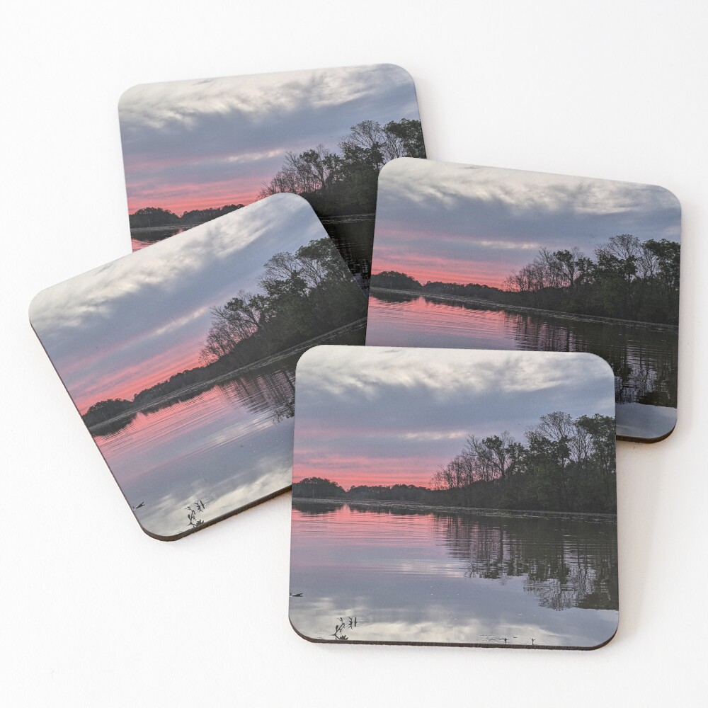 Item preview, Coasters (Set of 4) designed and sold by RScaptor.
