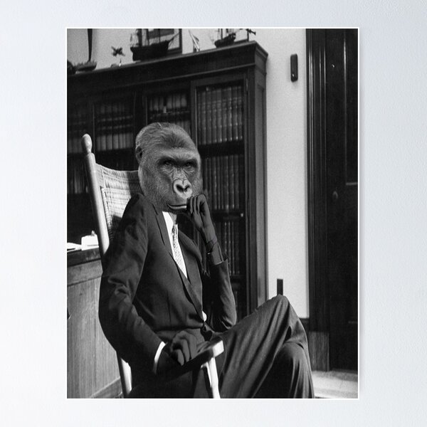 Item preview, Harambe is our Kennedy designed and sold by earlstevens.