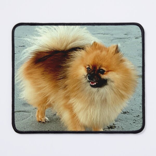 Item preview, POM POM AT THE BACH designed and sold by Steffi August.