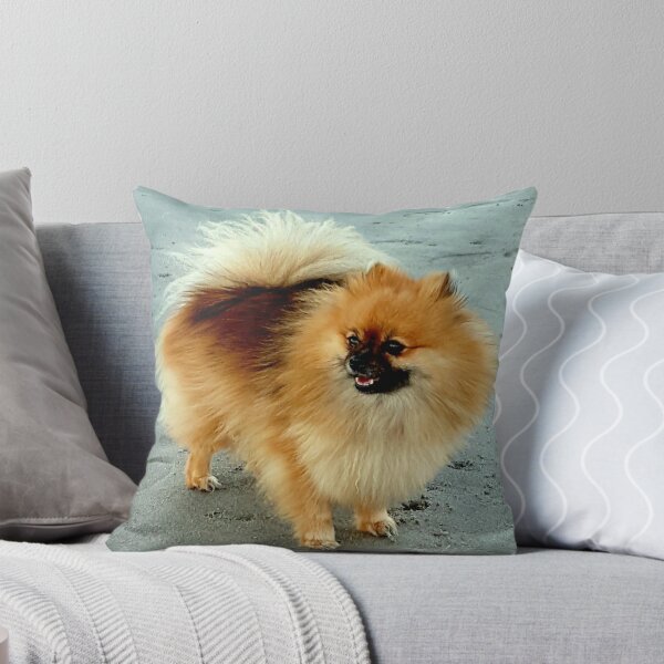 Item preview, POM POM EN LA BACH designed and sold by Steffi August.