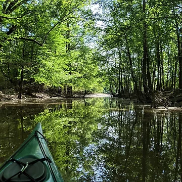 Artwork thumbnail, Shady Paddle by Ryan Stephens