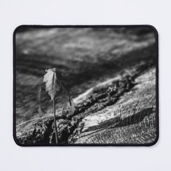 Item preview, old stump designed and sold by R-York.