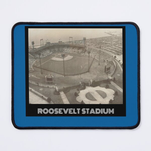 Item preview, Roosevelt Stadium- Dodger Blue designed and sold by DeadStadium.