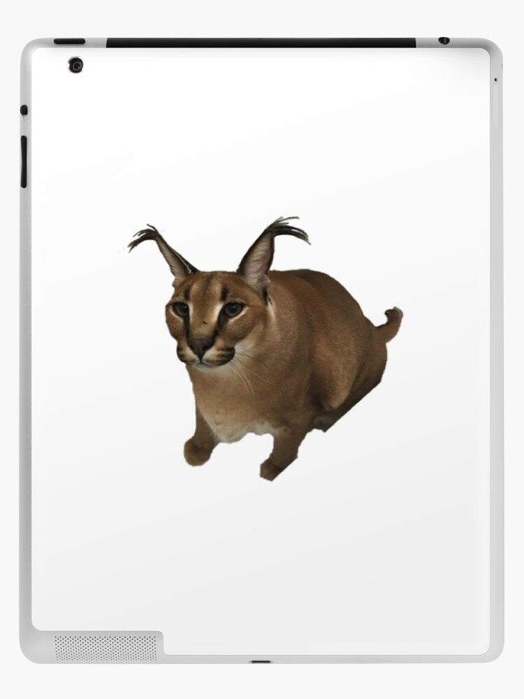 FLOPPA CAT \ CARACALS / GOOD AT MATH | iPad Case & Skin