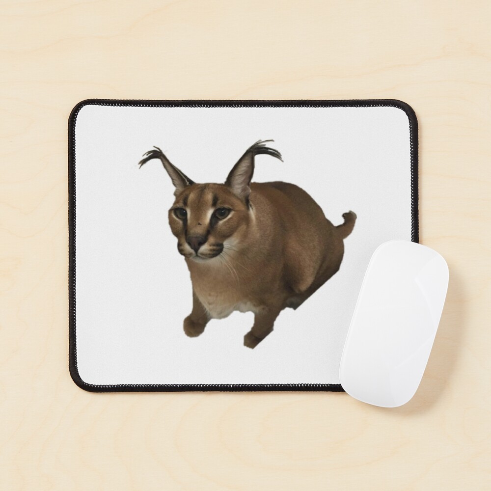 Albania Floppa Gosha Caracal GIF