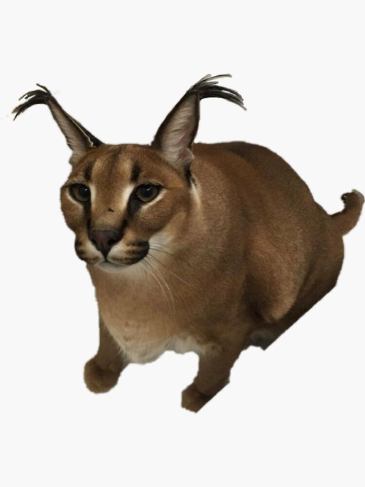 8-Quart Digital Air Fryer