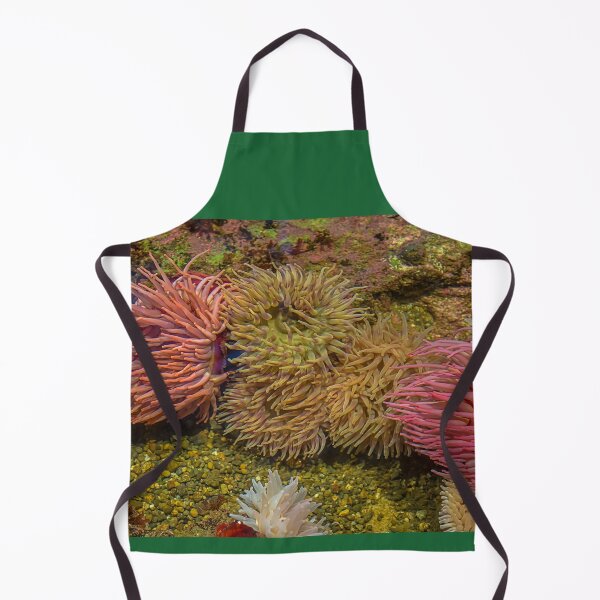 Item preview, USA. Seattle. Aquarium. Sea Anemones. designed and sold by vadim19.
