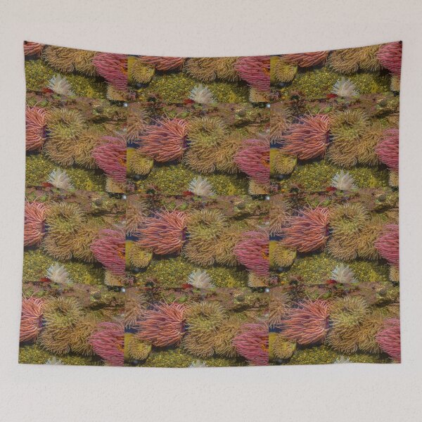 Item preview, USA. Seattle. Aquarium. Sea Anemones. designed and sold by vadim19.