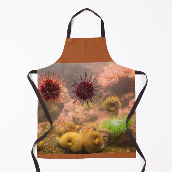 Item preview, USA. Seattle. Aquarium. Sea Urchins. designed and sold by vadim19.