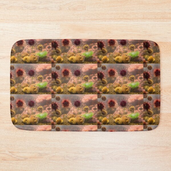 Item preview, USA. Seattle. Aquarium. Sea Urchins. designed and sold by vadim19.