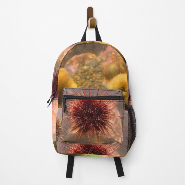 Item preview, USA. Seattle. Aquarium. Sea Urchins. designed and sold by vadim19.
