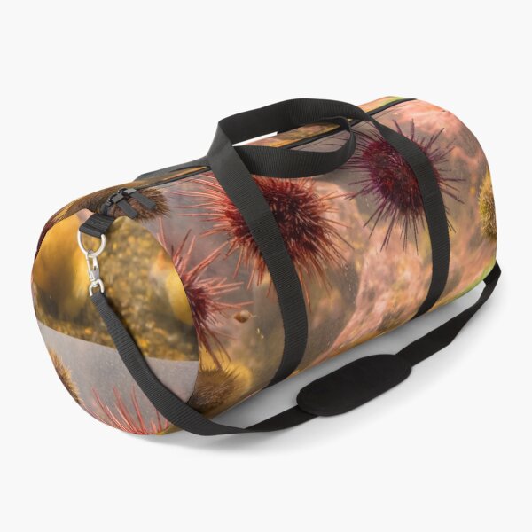 Item preview, USA. Seattle. Aquarium. Sea Urchins. designed and sold by vadim19.