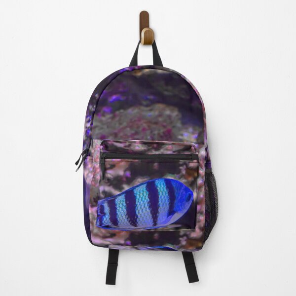 Item preview, USA. Seattle. Aquarium. Blue Fish. designed and sold by vadim19.
