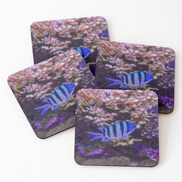 Item preview, USA. Seattle. Aquarium. Blue Fish. designed and sold by vadim19.