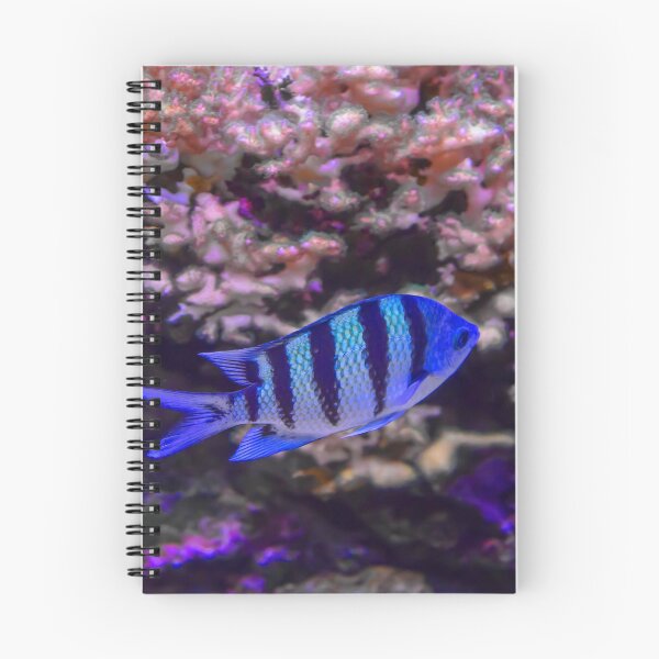 Item preview, USA. Seattle. Aquarium. Blue Fish. designed and sold by vadim19.