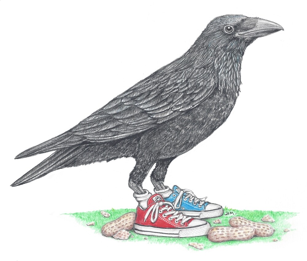 Crow in Mismatched Chucks by JimsBirds