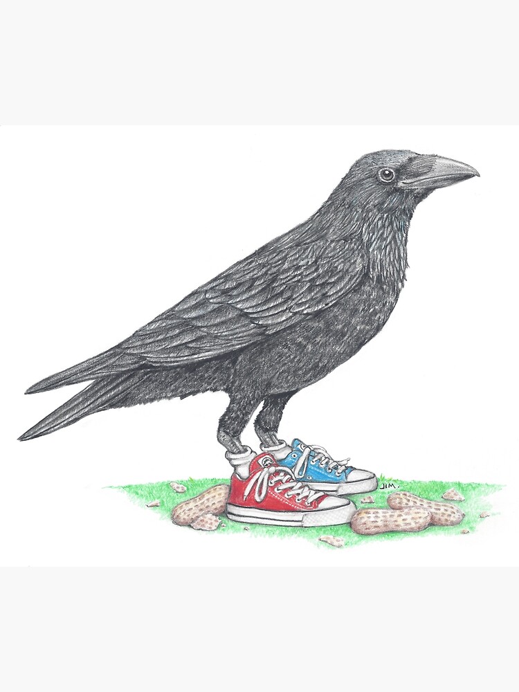 Thumbnail 2 of 2, Postcard, Crow in Mismatched Chucks designed and sold by JimsBirds.