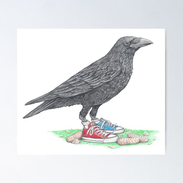 Item preview, Crow in Mismatched Chucks designed and sold by JimsBirds.
