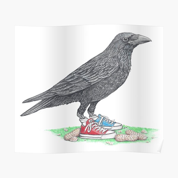 Crow in Mismatched Chucks Poster
