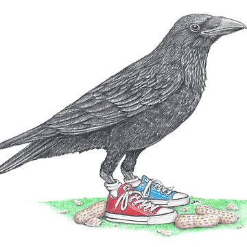 Artwork thumbnail, Crow in Mismatched Chucks by JimsBirds