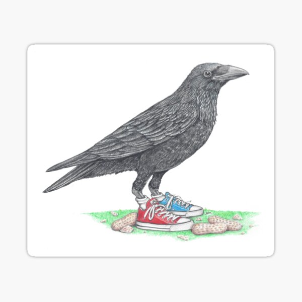 Item preview, Crow in Mismatched Chucks designed and sold by JimsBirds.