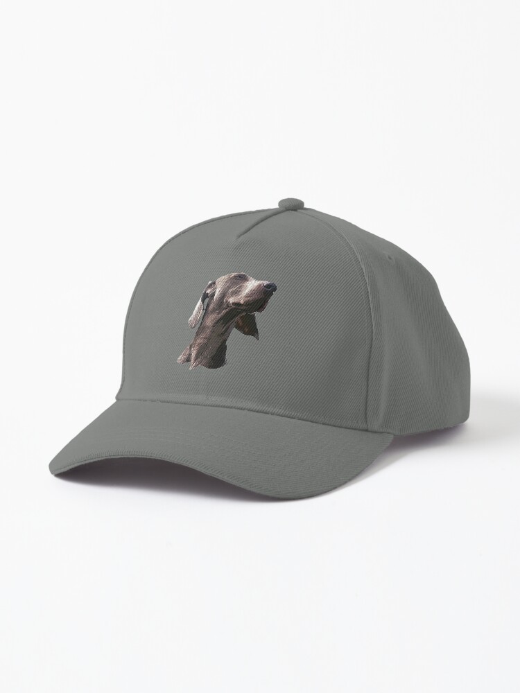 Weimaraner hat outlet