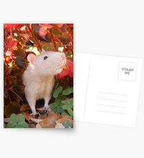 Peek into the World Postcards
