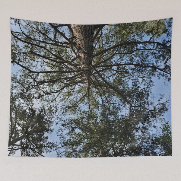 Item preview, THE SKY AND THE TREES designed and sold by Erikaesb.