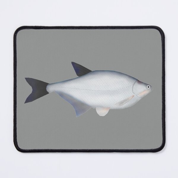 Item preview, Blue Bream (Zope) designed and sold by fishfolkart.