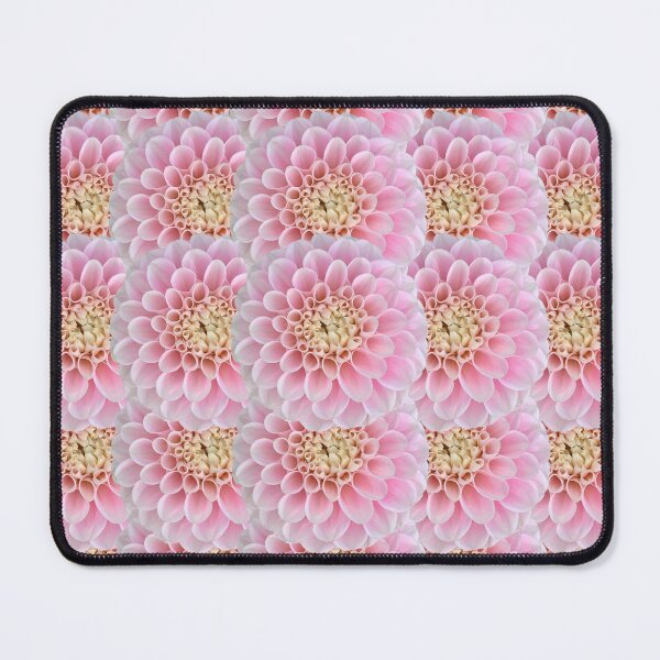 Item preview, Pink Dahlia Flower Still Life Floral Photography designed and sold by CottoVerdi.
