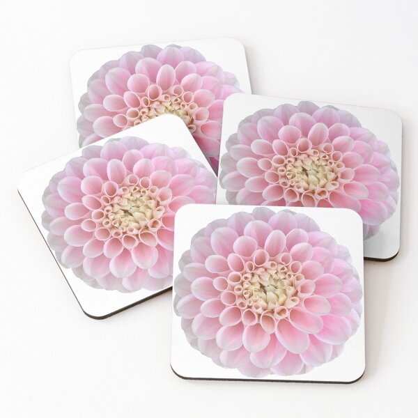 Item preview, Pink Dahlia Flower Still Life Floral Photography designed and sold by CottoVerdi.