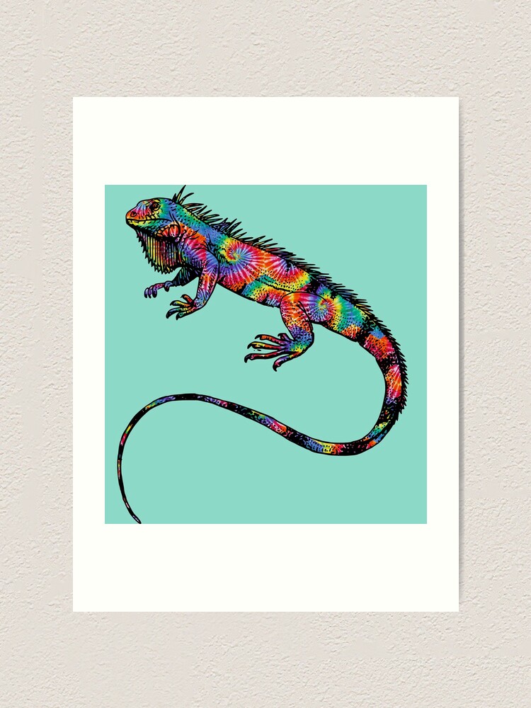  Wee Blue Coo Photo Animal Iguana Lizard Reptile Scales Spines  Unframed Wall Art Print Poster Home Decor Premium: Posters & Prints