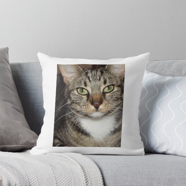 Tiger Throw Pillow