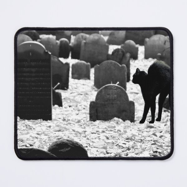 Artikelvorschau, Thriller entworfen und verkauft von BunnyPanda0120.