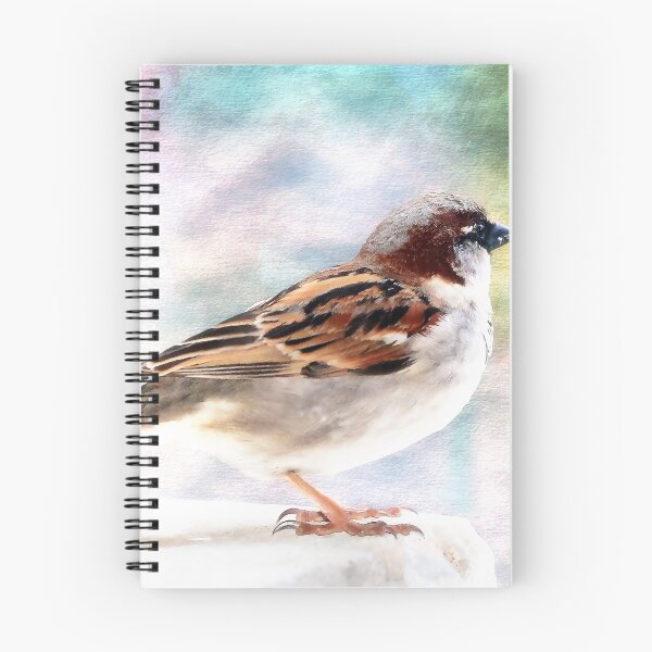 Item preview, Sparrow beauty 0004 designed and sold by kevin Chippindall.